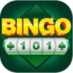Bingo 101