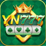 YN 777