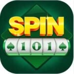 Spin 101